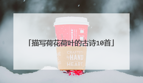 描写荷花荷叶的古诗10首