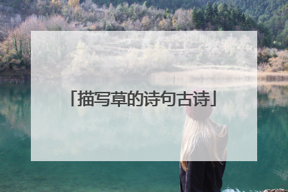 描写草的诗句古诗