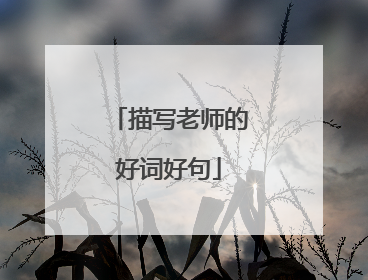 描写老师的好词好句