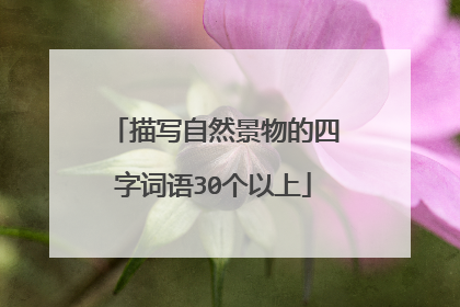描写自然景物的四字词语30个以上