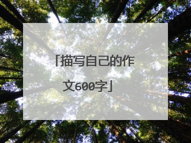 描写自己的作文600字