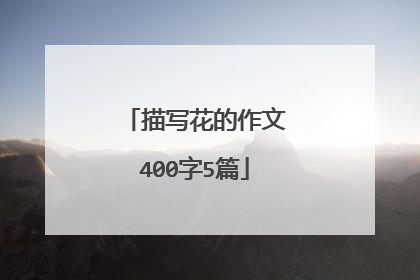 描写花的作文400字5篇