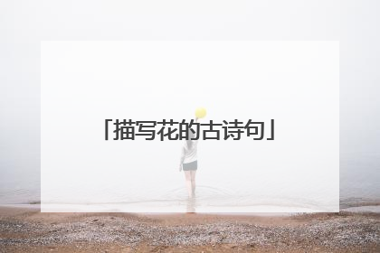 描写花的古诗句