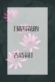 描写花的古诗词