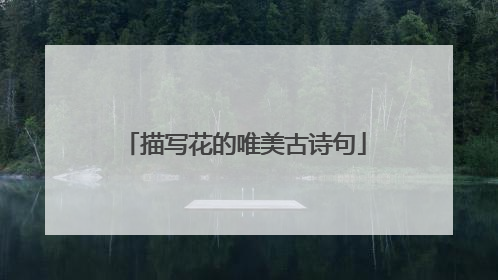 描写花的唯美古诗句