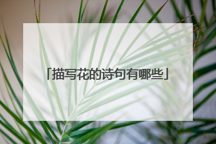 描写花的诗句有哪些