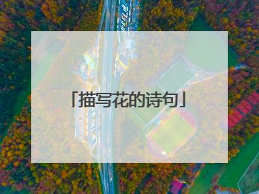 描写花的诗句