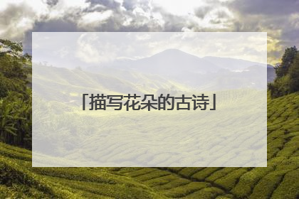 描写花朵的古诗