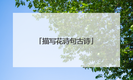描写花诗句古诗