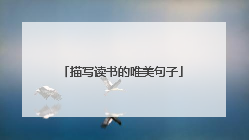 描写读书的唯美句子