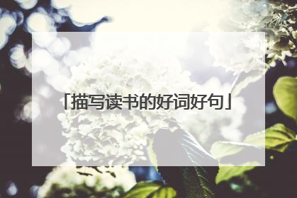 描写读书的好词好句