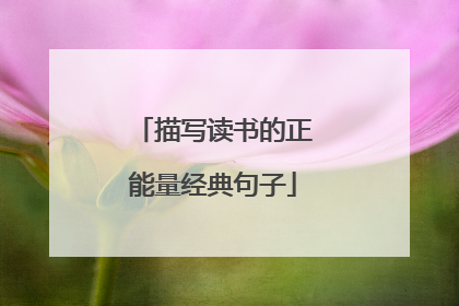 描写读书的正能量经典句子