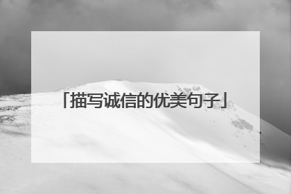 描写诚信的优美句子
