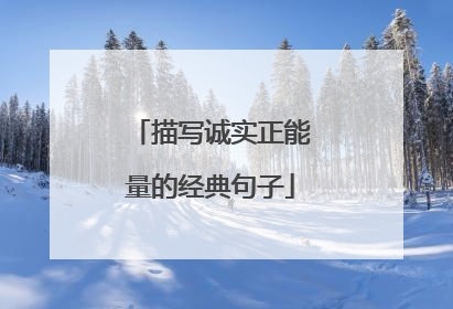 描写诚实正能量的经典句子
