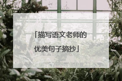 描写语文老师的优美句子摘抄