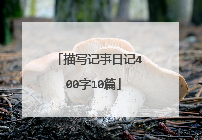 描写记事日记400字10篇