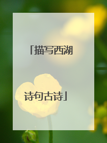 描写西湖诗句古诗