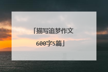 描写追梦作文600字5篇