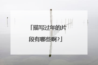 描写过年的片段有哪些啊?