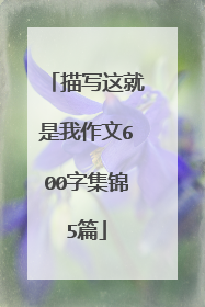 描写这就是我作文600字集锦5篇