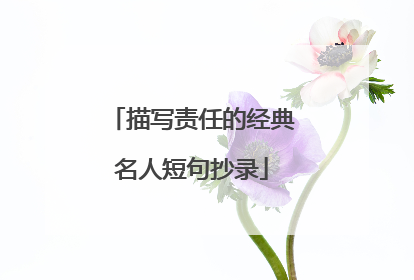 描写责任的经典名人短句抄录