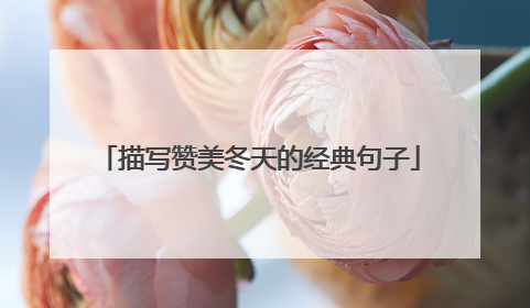 描写赞美冬天的经典句子