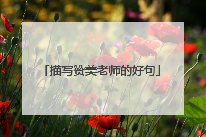 描写赞美老师的好句