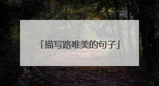 描写路唯美的句子