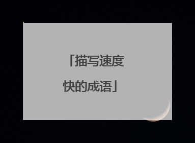 描写速度快的成语