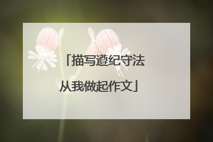 描写遵纪守法从我做起作文