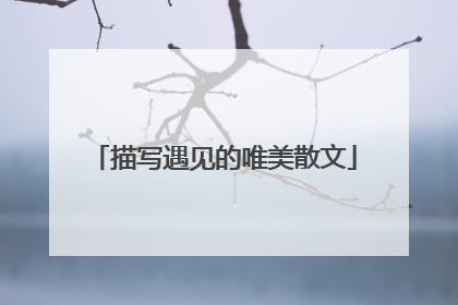 描写遇见的唯美散文