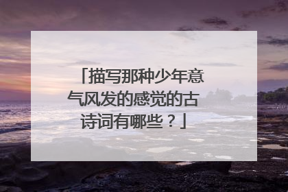 描写那种少年意气风发的感觉的古诗词有哪些?