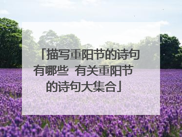 描写重阳节的诗句有哪些 有关重阳节的诗句大集合