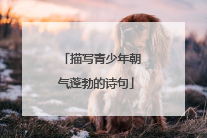 描写青少年朝气蓬勃的诗句