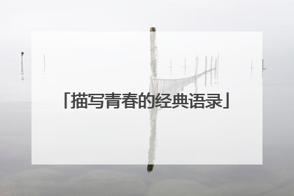 描写青春的经典语录