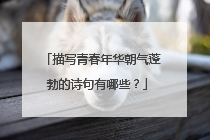 描写青春年华朝气蓬勃的诗句有哪些?