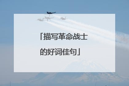 描写革命战士的好词佳句