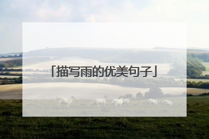 描写雨的优美句子