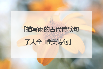 描写雨的古代诗歌句子大全_唯美诗句