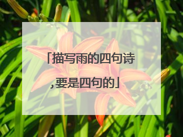 描写雨的四句诗,要是四句的