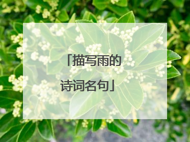 描写雨的诗词名句