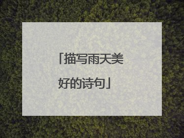 描写雨天美好的诗句