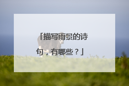 描写雨景的诗句,有哪些?