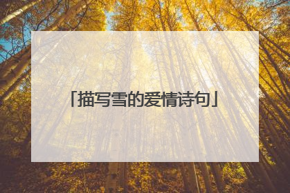 描写雪的爱情诗句