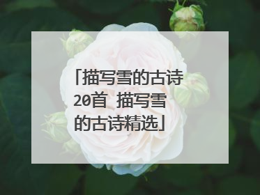描写雪的古诗20首 描写雪的古诗精选