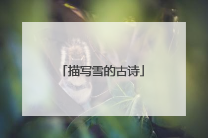 描写雪的古诗