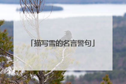 描写雪的名言警句