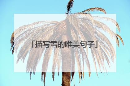 描写雪的唯美句子