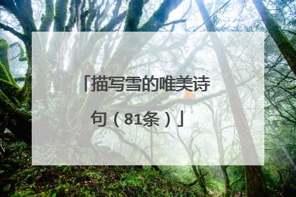 描写雪的唯美诗句(81条)