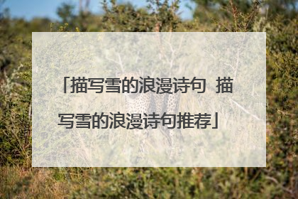 描写雪的浪漫诗句 描写雪的浪漫诗句推荐